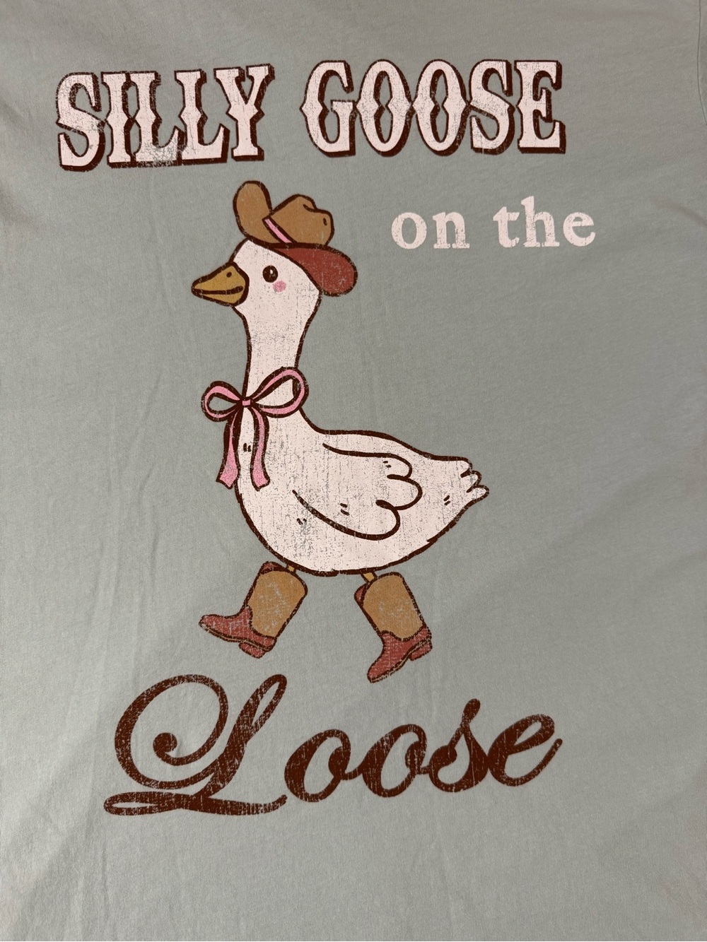 Originality “Silly Goose on the Loose" Graphic Tee - Mint - Picture 2 of 12